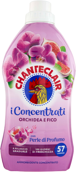 chanteclair_orchidee.png